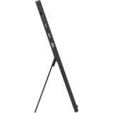 ASUS ZenScreen MB16NCG 16" monitor Zwart, Mini-HDMI, 2x USB-C, 155 Hz