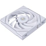 Lian Li UNI FAN TL 140 RGB case fan Wit, 140 x 144 x 28 mm, PWM
