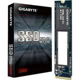 GIGABYTE NVMe V2 256 GB SSD G3NVMEV2256G, PCIe Gen 3.0 x4, NVMe 1.4