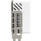 ASUS GeForce RTX 5080 ROG ASTRAL GAMING WHITE Edition grafische kaart Wit, DLSS 4, 3x DisplayPort, 1x HDMI 2.1