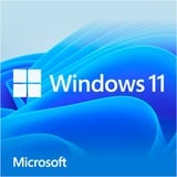 Windows 11 Home (Nederlandstalig) software