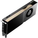 NVIDIA® RTX 5000 Ada 32 GB grafische kaart 4x DisplayPort