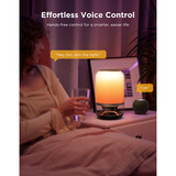 Govee Table Lamp 2 Pro (Sound by JBL) Transparant