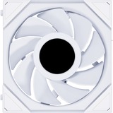 Lian Li UNI FAN TL 120 LCD Reverse RGB case fan Wit, 120 x 124 x 28 mm
