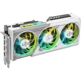 ASRock Intel® Arc B580 Steel Legend 12GB OC grafische kaart 1x HDMI, 3x DisplayPort