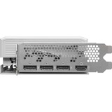 ASRock Intel® Arc B580 Steel Legend 12GB OC grafische kaart 1x HDMI, 3x DisplayPort