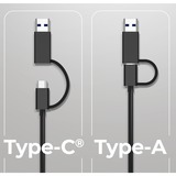 ICY BOX IB-LAN301-C3 netwerkadapter 