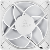 ARCTIC P14 Pro A-RGB case fan Wit