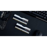 G.Skill Trident Z5 RGB 64 GB DDR5-6000 (2x 32 GB) werkgeheugen Zilver, F5-6000J3040G32GX2-TZ5RS, XMP 3.0
