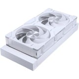 Phanteks Glacier One 240 D30 waterkoeling Wit, 4-pins PWM fan-connector