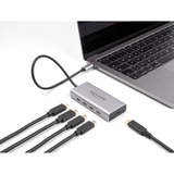 DeLOCK USB-C 10 Gbps usb-hub Grijs