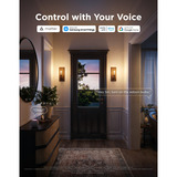 Govee Edison bulb E27 led-lamp 2.4GHz wifi, Bluetooth