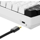 Sharkoon SKILLER SGK50 S4 RGB mechanisch gaming toetsenbord Wit, BE lay-out (AZERTY), Kailh Blue, 60%, Hot-swappable