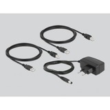 DeLOCK USB 2.0 Switch 4 pc's > 4 apparaten usb-switch 
