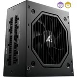 Sharkoon Rebel P20 modulaire 750 watt voeding  Zwart, 1x 12V-2x6, 4x PCIe