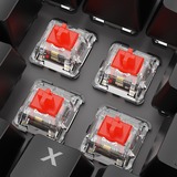 Sharkoon SKILLER SGK20 RGB mechanisch gaming toetsenbord Zwart, BE lay-out (AZERTY), Huano Red, 100%