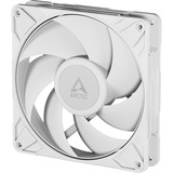 ARCTIC P14 Pro PST case fan Wit