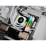 Corsair Vengeance RGB 32 GB DDR5-6400 (2x 16 GB) werkgeheugen Wit, CMH32GX5M2B6400C36W, XMP 3.0