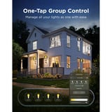 Govee Edison bulb E27 led-lamp 2 stuks, 2.4GHz wifi, Bluetooth