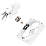 NZXT F120Q case fan Wit