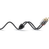 goobay Plus 3,5 mm jack naar 2x stereo RCA (Tulp) adapterkabel Zwart/zilver, 1 meter