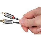 goobay Plus 3,5 mm jack naar 2x stereo RCA (Tulp) adapterkabel Zwart/zilver, 1 meter