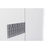 Digitus Patchbracket voor Wandmontage 19" 