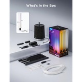 Govee Floor Lamp Pro Zwart, 2,4GHz wifi, Bluetooth