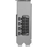 PNY NVIDIA RTX PRO 2000 Blackwell Generation 16GB PB grafische kaart 4x Mini-Display Port 2.1, Bulk