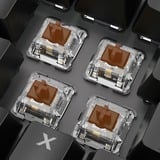 Sharkoon SKILLER SGK20 RGB mechanisch gaming toetsenbord Zwart, BE lay-out (AZERTY), Huano Brown, 100%, RGB leds