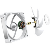 NZXT F120X RGB case fan Wit