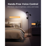 Govee Tree Floor Lamp Zwart, 2.4GHz wifi + Bluetooth