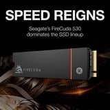 Seagate FireCuda 530 4 TB met heatsink SSD Zwart, ZP4000GM3A023, PCIe 4.0 x4, NVMe 1.4, M.2 2280