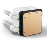 Sharkoon S60 ARGB waterkoeling Wit, 4-pin PWM