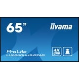 iiyama ProLite LH6560UHS-B2AG 64.5" 4K Ultra HD Public Display Zwart, HDMI, LAN, USB, Audio, Android 11