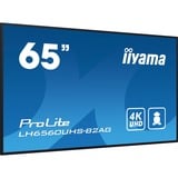 iiyama ProLite LH6560UHS-B2AG 64.5" 4K Ultra HD Public Display Zwart, HDMI, LAN, USB, Audio, Android 11