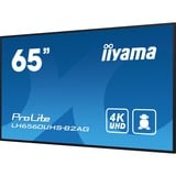iiyama ProLite LH6560UHS-B2AG 64.5" 4K Ultra HD Public Display Zwart, HDMI, LAN, USB, Audio, Android 11