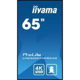 iiyama ProLite LH6560UHS-B2AG 64.5" 4K Ultra HD Public Display Zwart, HDMI, LAN, USB, Audio, Android 11