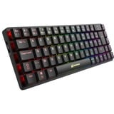 Sharkoon PureWriter W65 RGB mechanisch toetsenbord Zwart, BE lay-out (AZERTY), Kailh Choc V2 Low Profile Brown, 65%