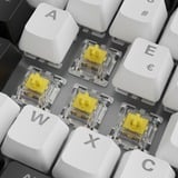Sharkoon SKILLER SGK50 S3, gaming toetsenbord Wit, BE Lay-out, Gateron Yellow, RGB leds, Hot-swappable, 75%