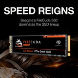 Seagate FireCuda 530 1 TB SSD ZP1000GM3A013, PCIe 4.0 x4, NVMe 1.4, M.2 2280