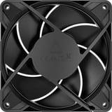 ARCTIC P12 Pro PST LN case fan Zwart, 120 x 120 x 25 mm, PWM