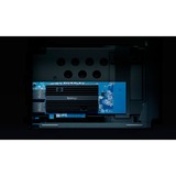 Synology E10G30-T2 netwerkadapter 