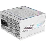 GIGABYTE AORUS ELITE GP-AE1000PM PG5 ICE, 1000 Watt voeding  Wit, 6x PCIe, 1x 12VHPWR, Kabelmanagement