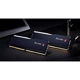 G.Skill Ripjaws M5 RGB 32 GB DDR5-6800 (2x 16 GB) werkgeheugen Zwart, F5-6800J3445G16GX2-RM5RK, XMP 3.0