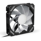 Sharkoon SHARK Mirror RGB PWM REVERSE case fan Zwart, 4-pin PWM