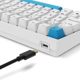 Sharkoon SKILLER SGK50 S2 PBT RGB mechanisch gaming toetsenbord Wit, BE lay-out (AZERTY), Gateron G Pro 3.0 Yellow, 96%, Hot-swappable