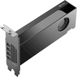 NVIDIA® RTX PRO 2000 Blackwell grafische kaart 4x mini-DisplayPort, Bulk