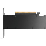 NVIDIA® RTX PRO 2000 Blackwell grafische kaart 4x mini-DisplayPort, Bulk