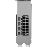 NVIDIA® RTX PRO 2000 Blackwell grafische kaart 4x mini-DisplayPort, Bulk